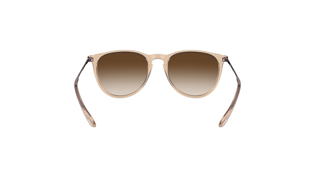 ERIKA COLOR MIX Sunglasses in Transparent Brown and Brown
