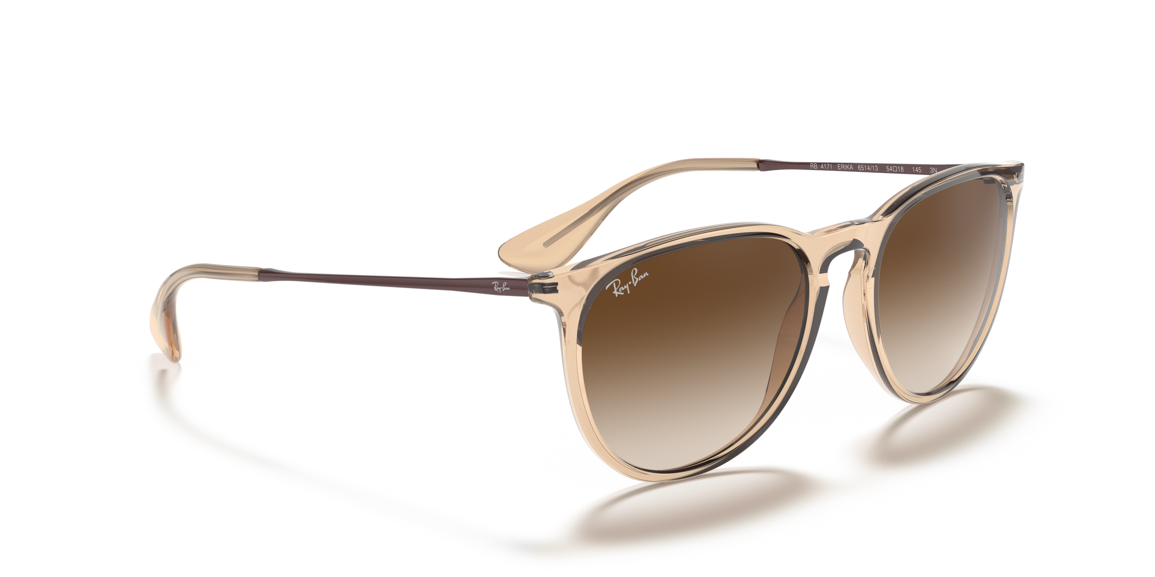 Erika Color Mix Sunglasses in Shiny Transparent Brown and Brown 