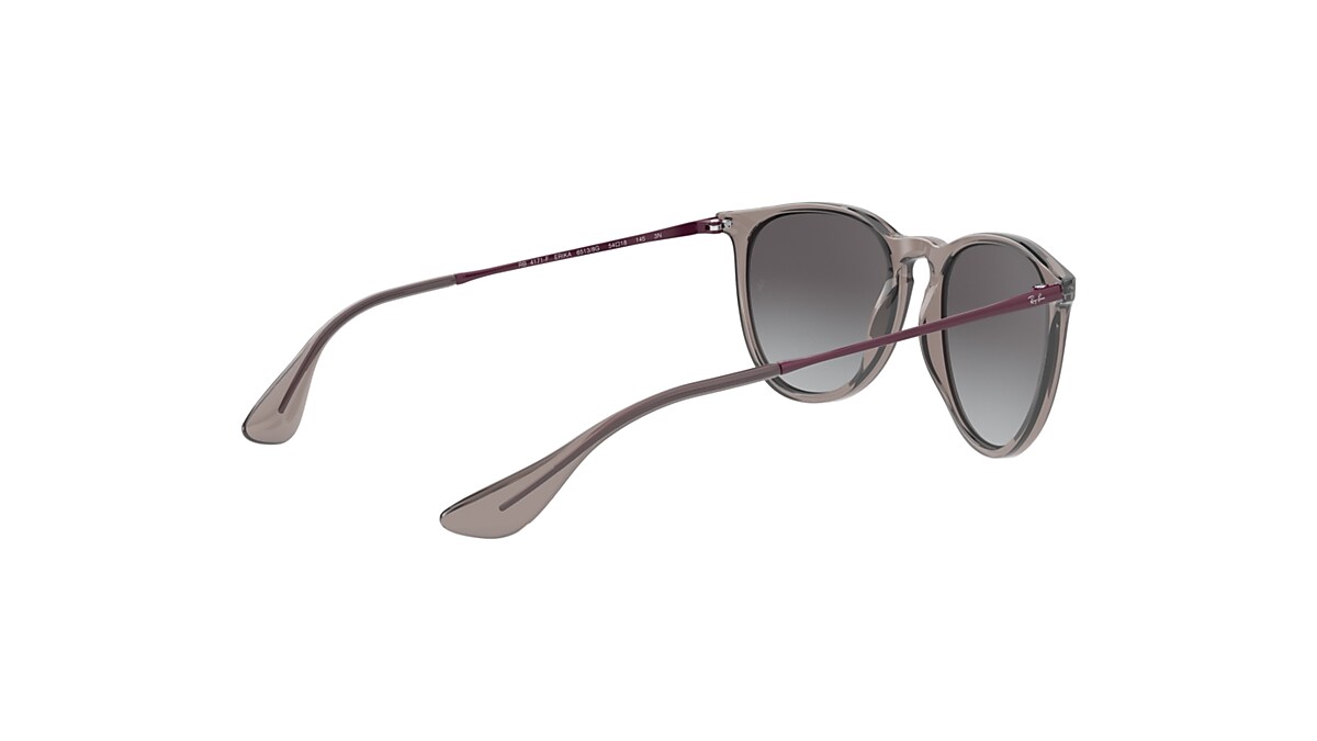 ERIKA COLOR MIX Sunglasses in Transparent Grey and Grey - RB4171F