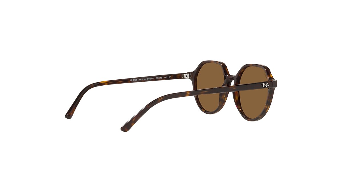 Thalia Sunglasses in Havana and Brown | Ray-Ban®