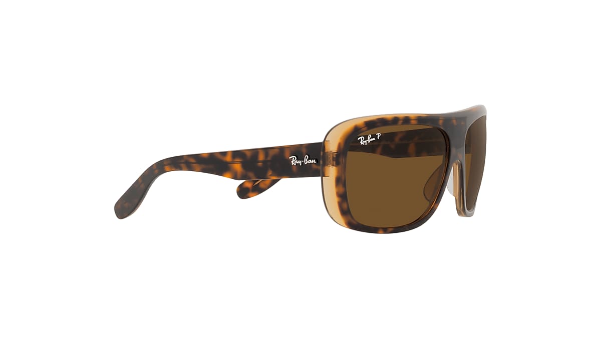 BLAIR Sunglasses in Havana On Transparent Brown and Brown