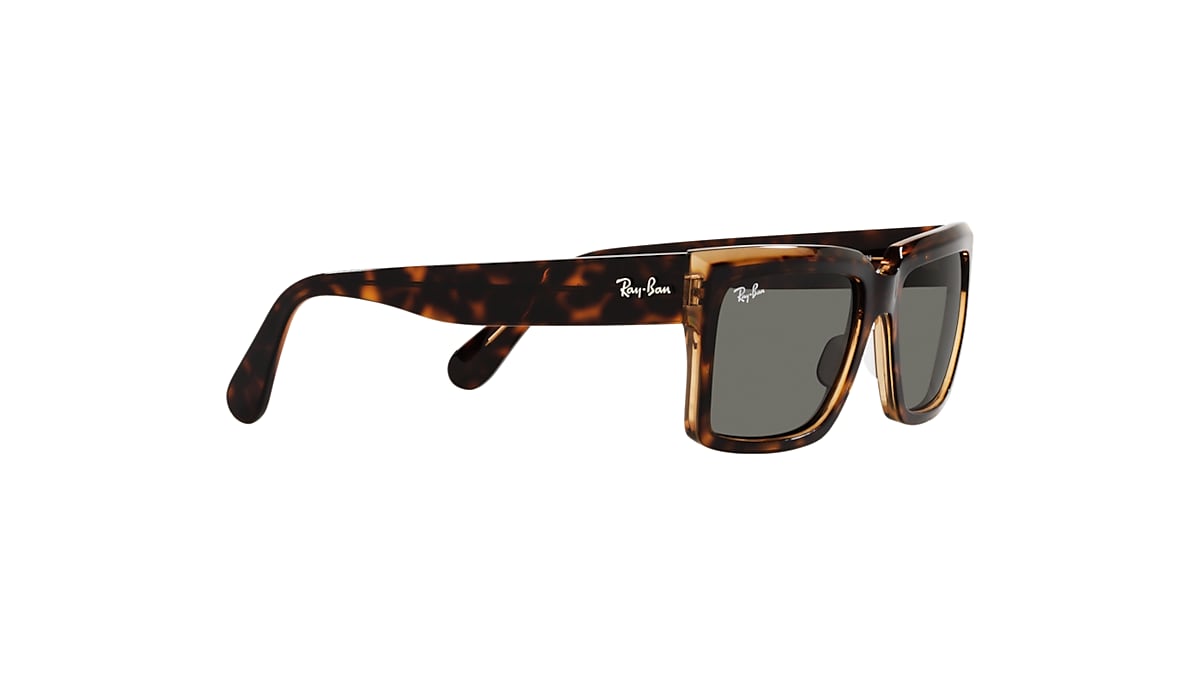 INVERNESS Sunglasses in Havana On Transparent Brown and Dark Grey