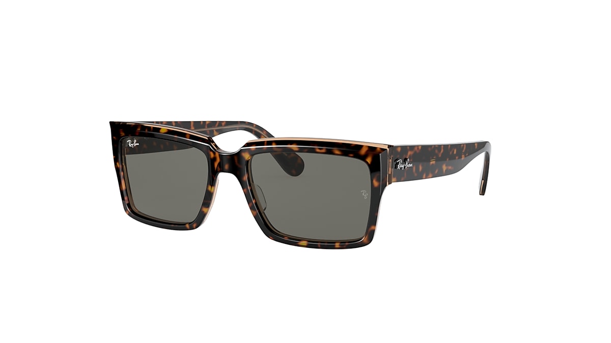 INVERNESS Sunglasses in Havana On Transparent Brown and Dark Grey