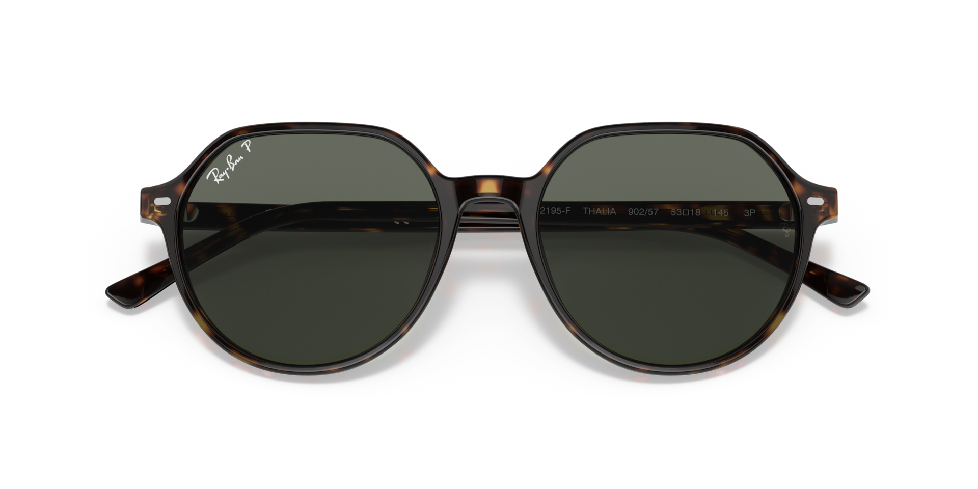 Tortoise Sunglasses in Green and Thalia 