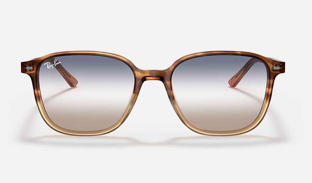 Leonard Bi-gradient Sunglasses in Tortoise and Blue/Brown