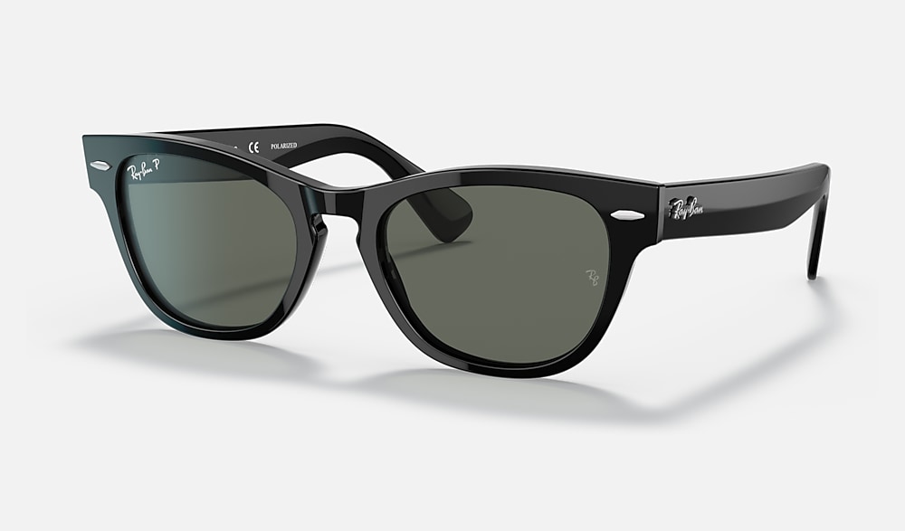 LARAMIE Sunglasses in Black and Green - RB2201 | Ray-Ban® US