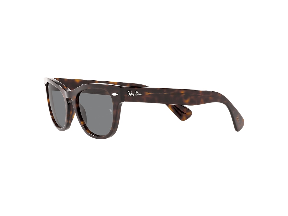 LARAMIE Sunglasses in Tortoise and Dark Grey - RB2201 | Ray-Ban® US