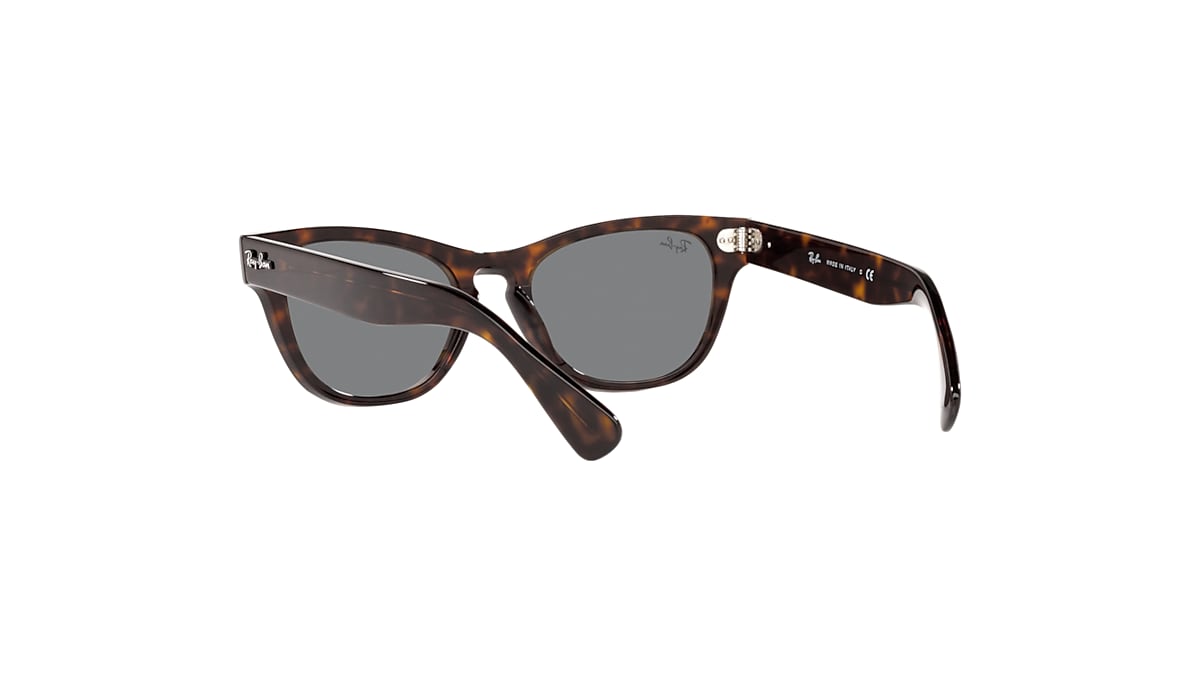 LARAMIE Sunglasses in Tortoise and Dark Grey - RB2201 | Ray-Ban® US