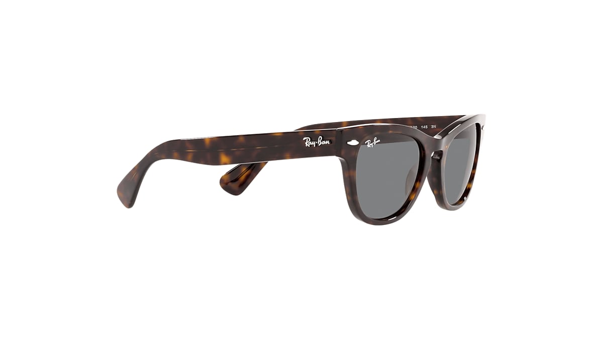 LARAMIE Sunglasses in Tortoise and Dark Grey - RB2201 | Ray