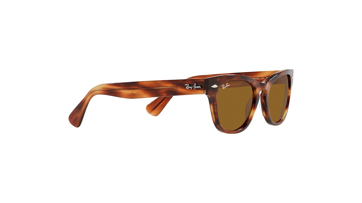 LARAMIE Sunglasses in Striped Havana and Brown - RB2201 | Ray