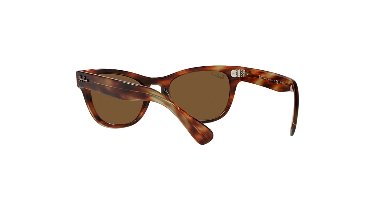 LARAMIE Sunglasses in Striped Havana and Brown - RB2201 | Ray-Ban® US