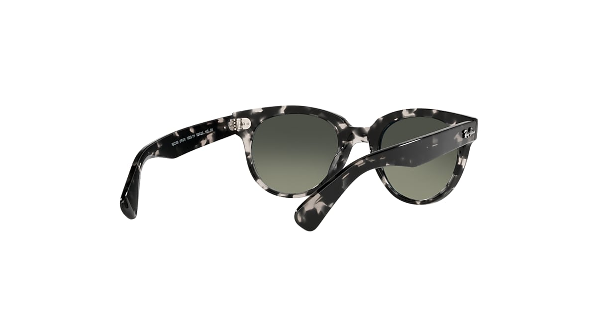 ORION Sunglasses in Grey Havana and Grey - RB2199 | Ray-Ban® US