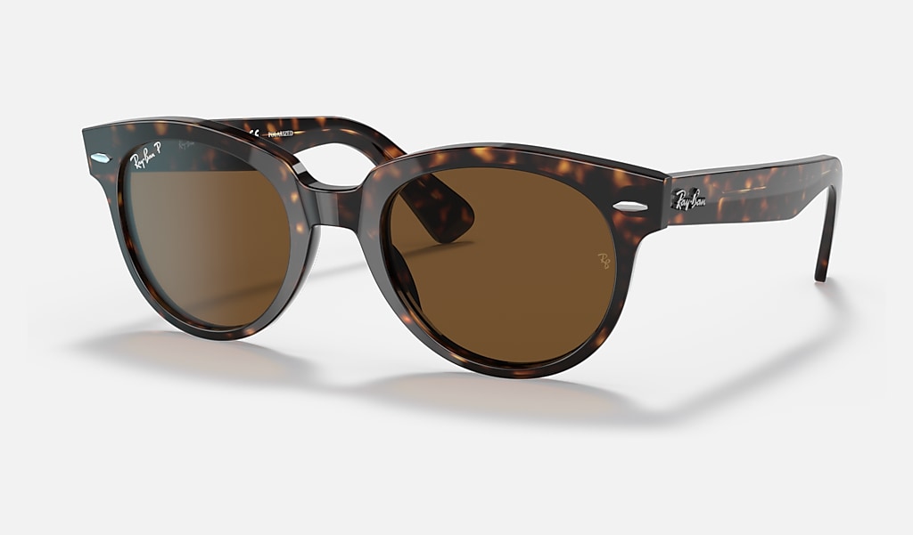 Orion Sunglasses in Tortoise and Brown | Ray-Ban®