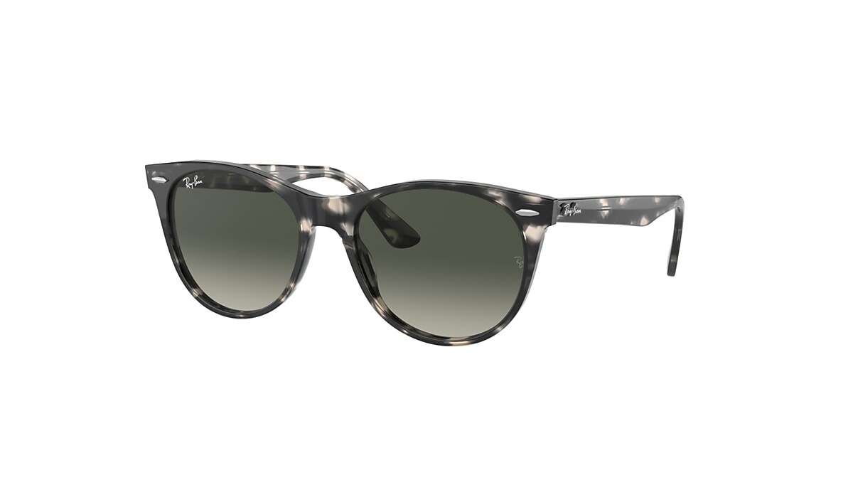 Ray ban best sale wayfarer 2 evolve