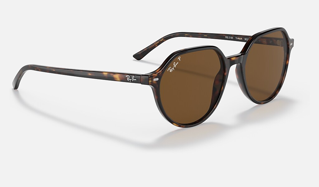 Thalia Sunglasses in Havana and Brown | Ray-Ban®