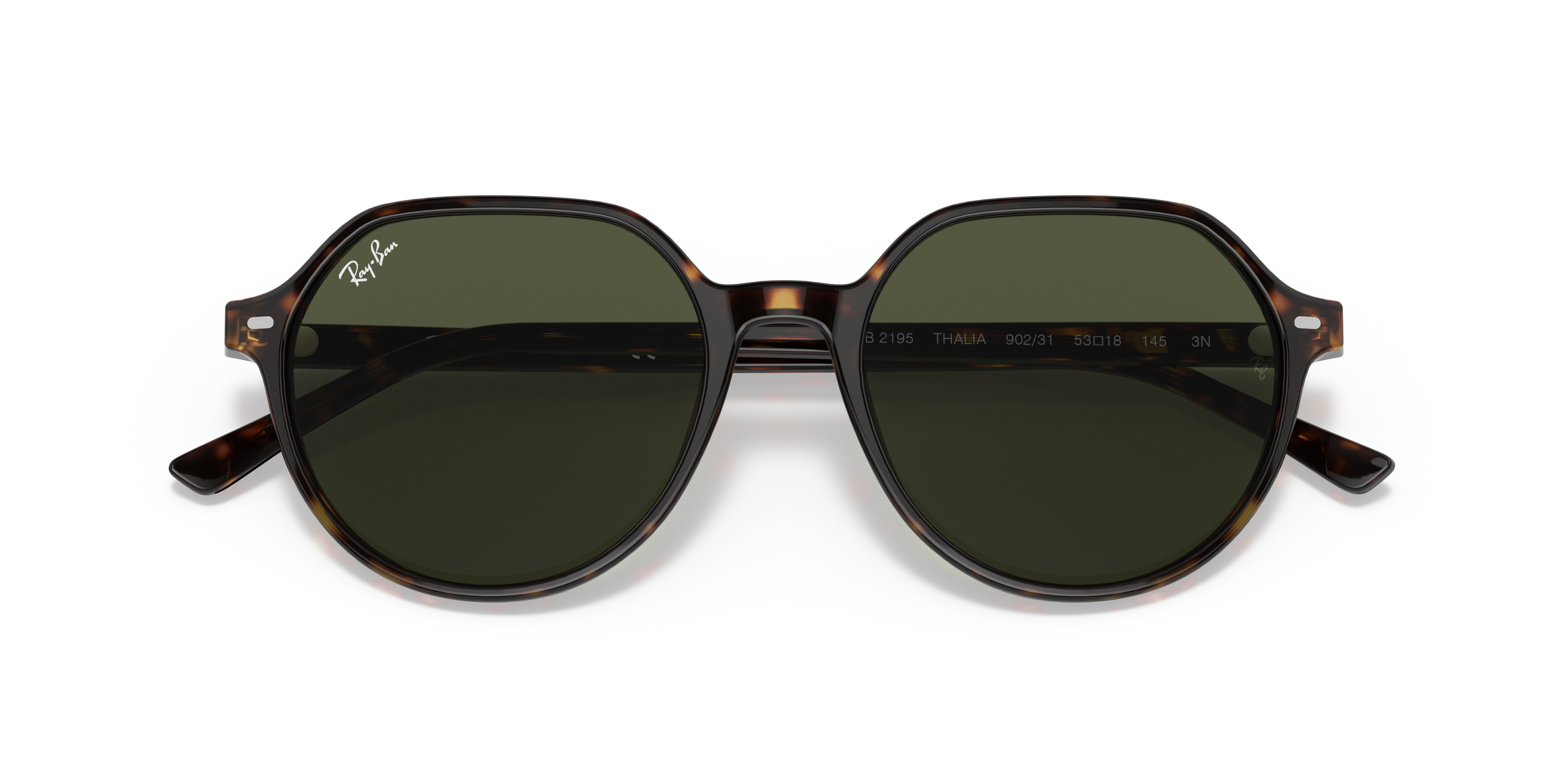 Thalia Sunglasses in Tortoise and Green 