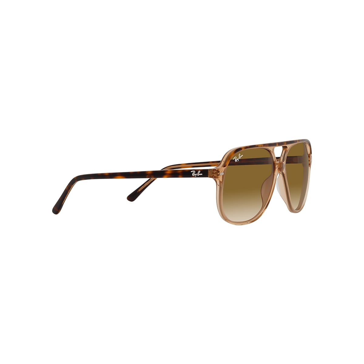 【レイバン公式ストア】 Ray-Ban® BILL サングラス - RB2198F