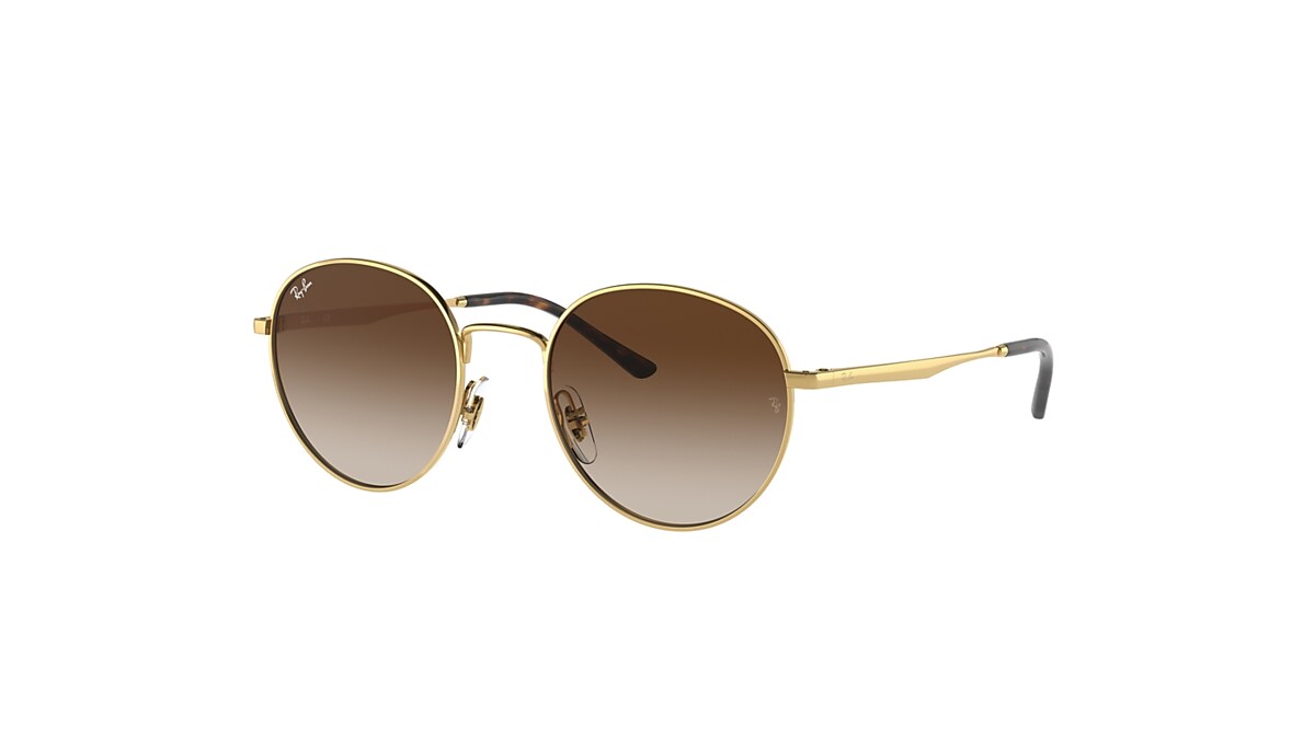 RB3681 Sunglasses in Gold and Brown - RB3681 | Ray-Ban® US