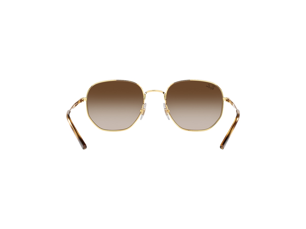 RB3682 Sunglasses in Gold and Brown - RB3682 | Ray-Ban® CA