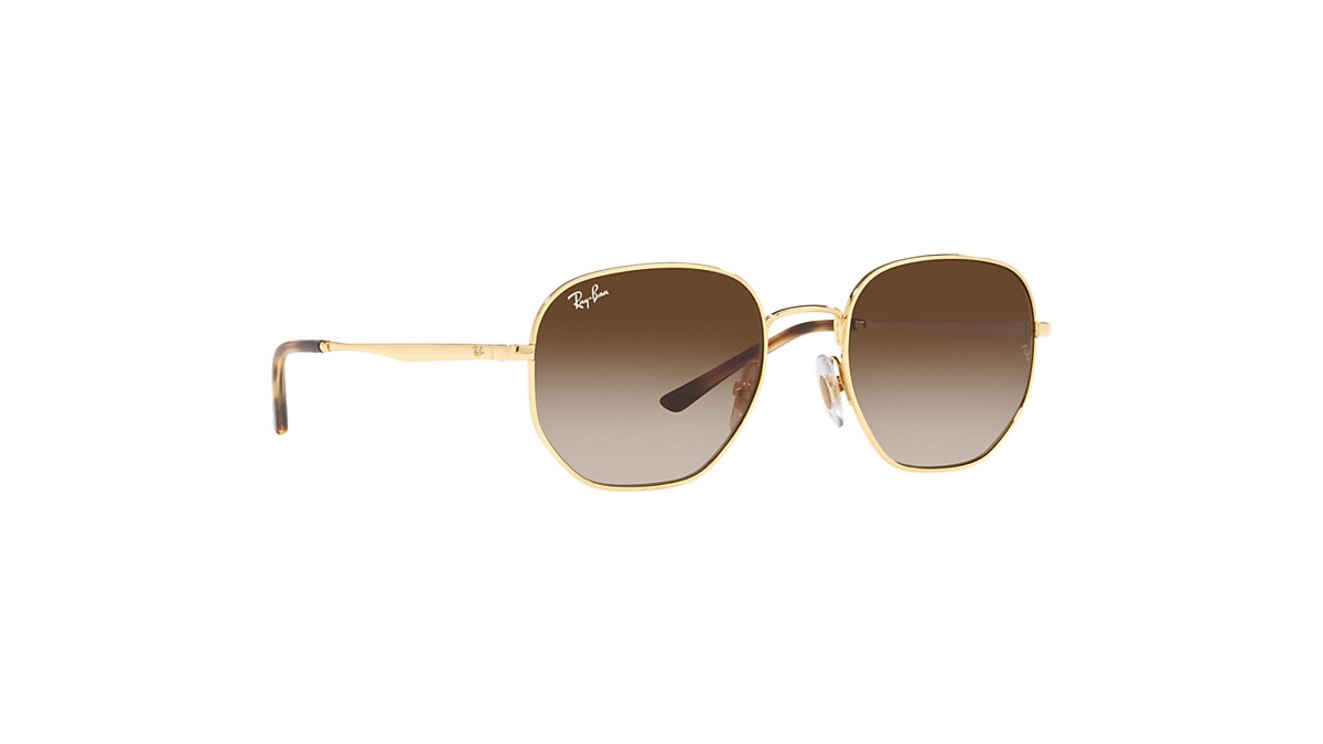 RB3682 Sunglasses in Gold and Brown - RB3682 | Ray-Ban® US