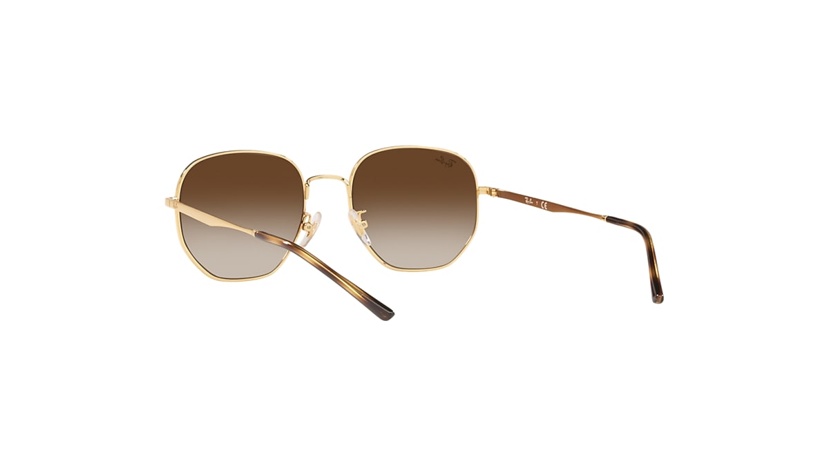 RB3682 Sunglasses in Gold and Brown - RB3682F | Ray-Ban® US