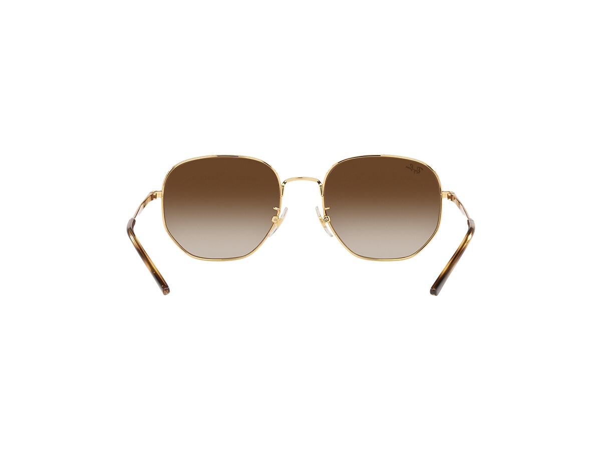 RB3682 Sunglasses in Gold and Brown - RB3682F | Ray-Ban® US