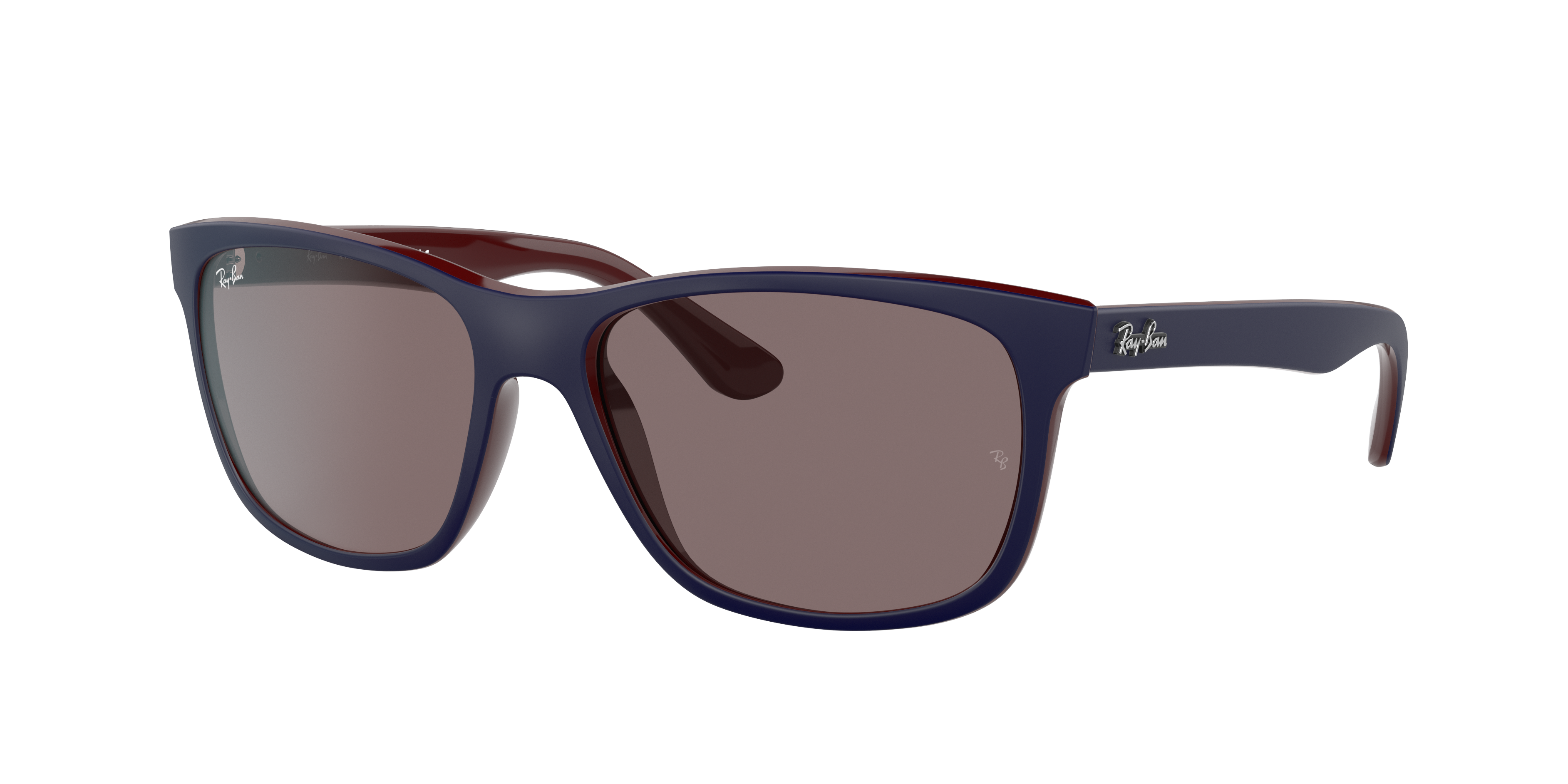 レイバン公式ストア】 Ray-Ban® Rb4181 サングラス | ブラウン上に