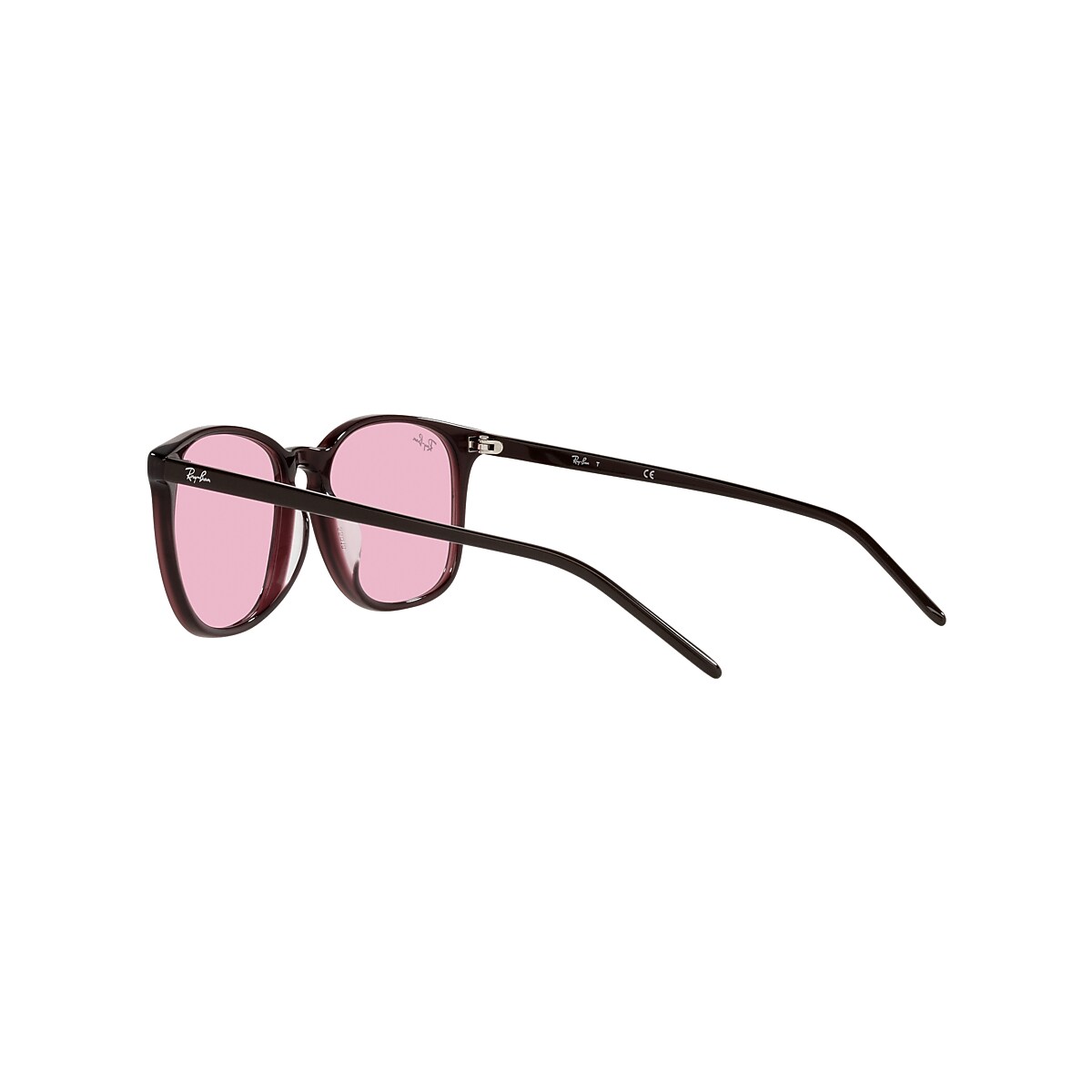 RB4387 EVOLVE Sunglasses in Transparent Violet and Pink