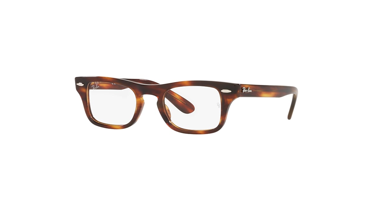 BURBANK OPTICS KIDS Eyeglasses with Striped Havana Frame