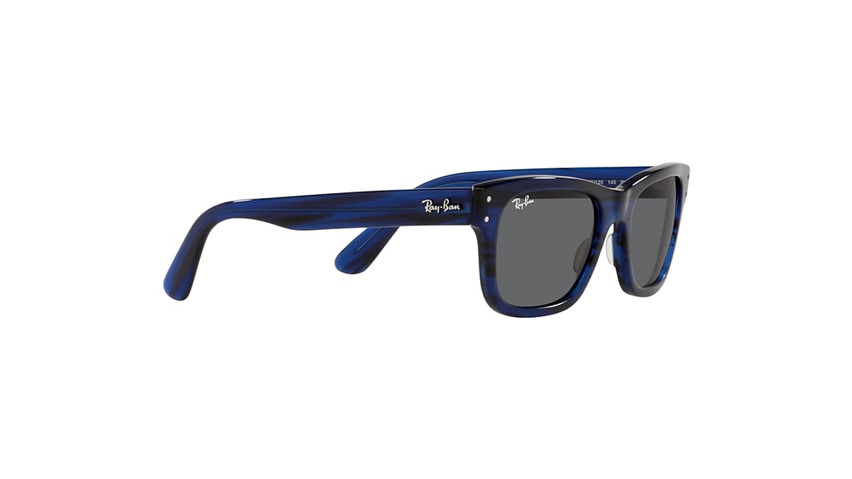 【レイバン公式ストア】 Ray-Ban® BURBANK サングラス | ブルー