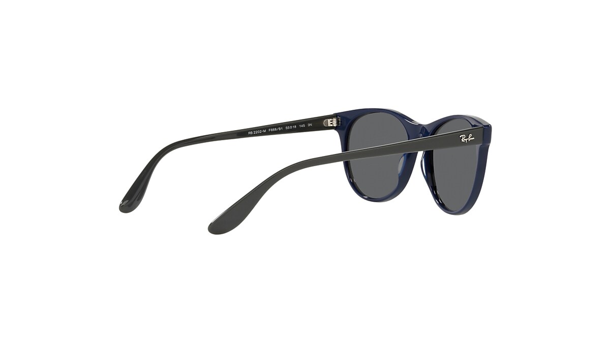 RB2202M SCUDERIA FERRARI COLLECTION Sunglasses in Blue and Dark 