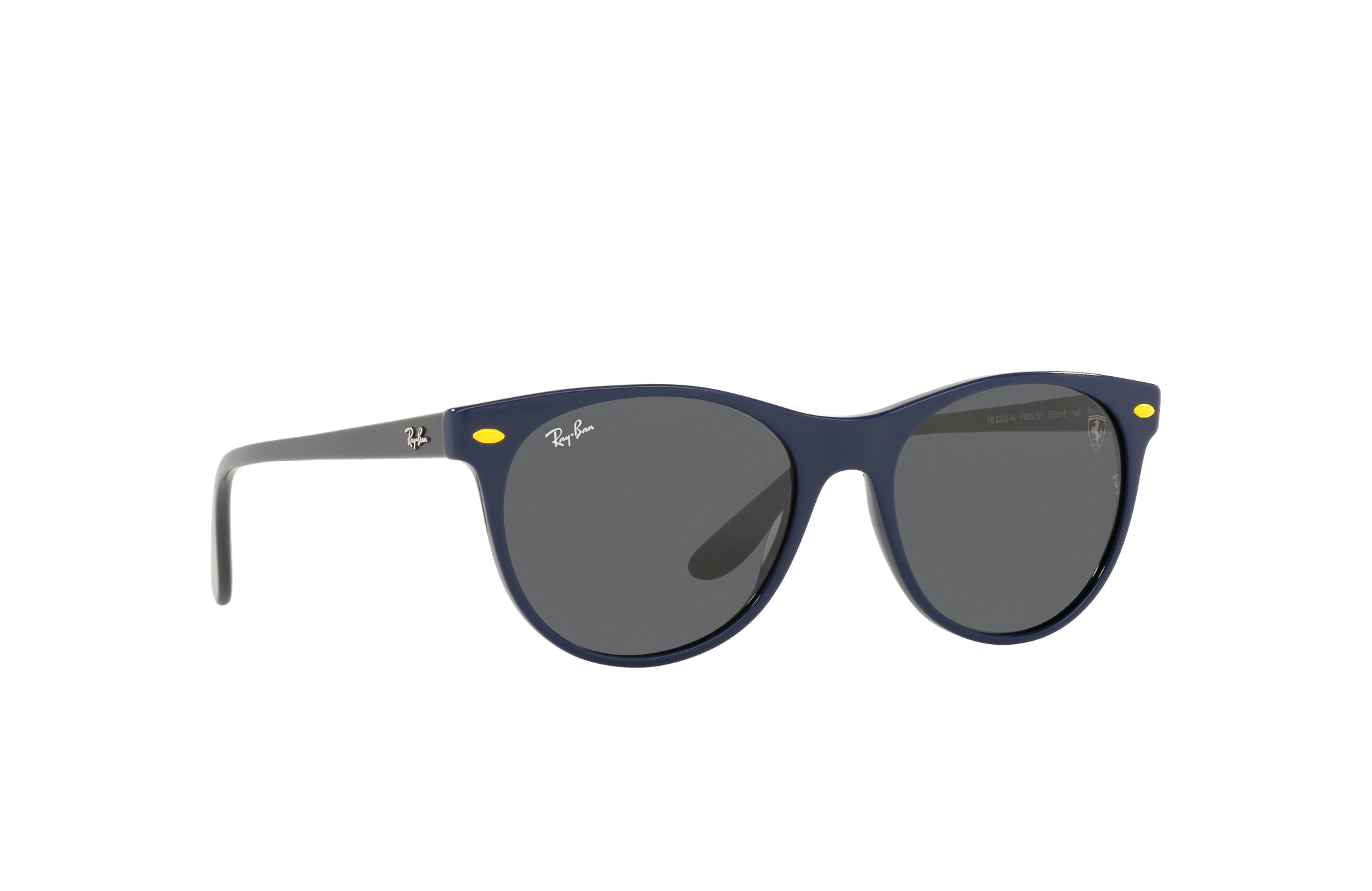 ray ban suede sunglasses