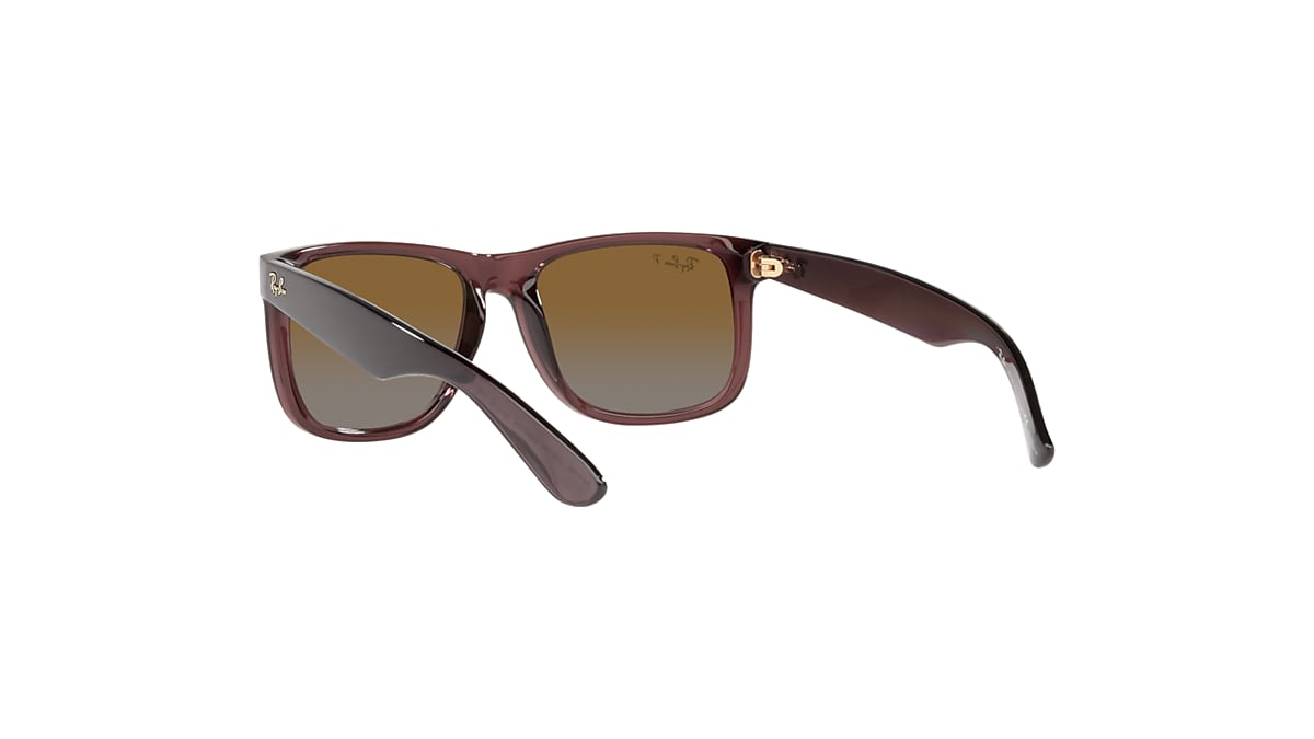 JUSTIN CLASSIC Sunglasses in Transparent Dark Brown and Brown