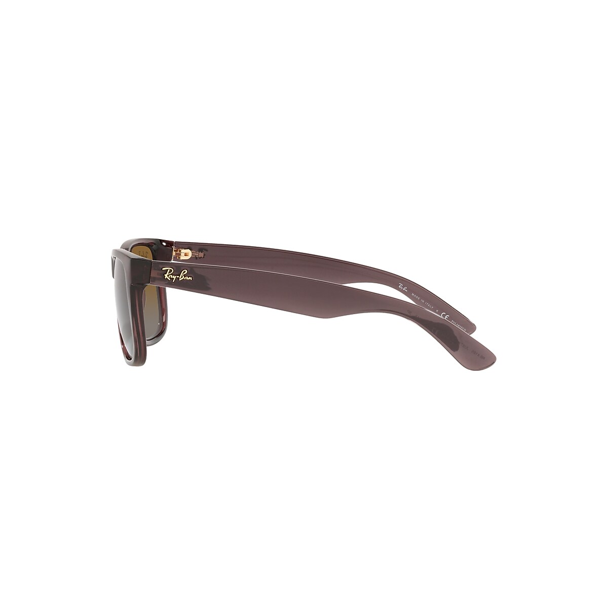 JUSTIN CLASSIC Sunglasses in Transparent Dark Brown and