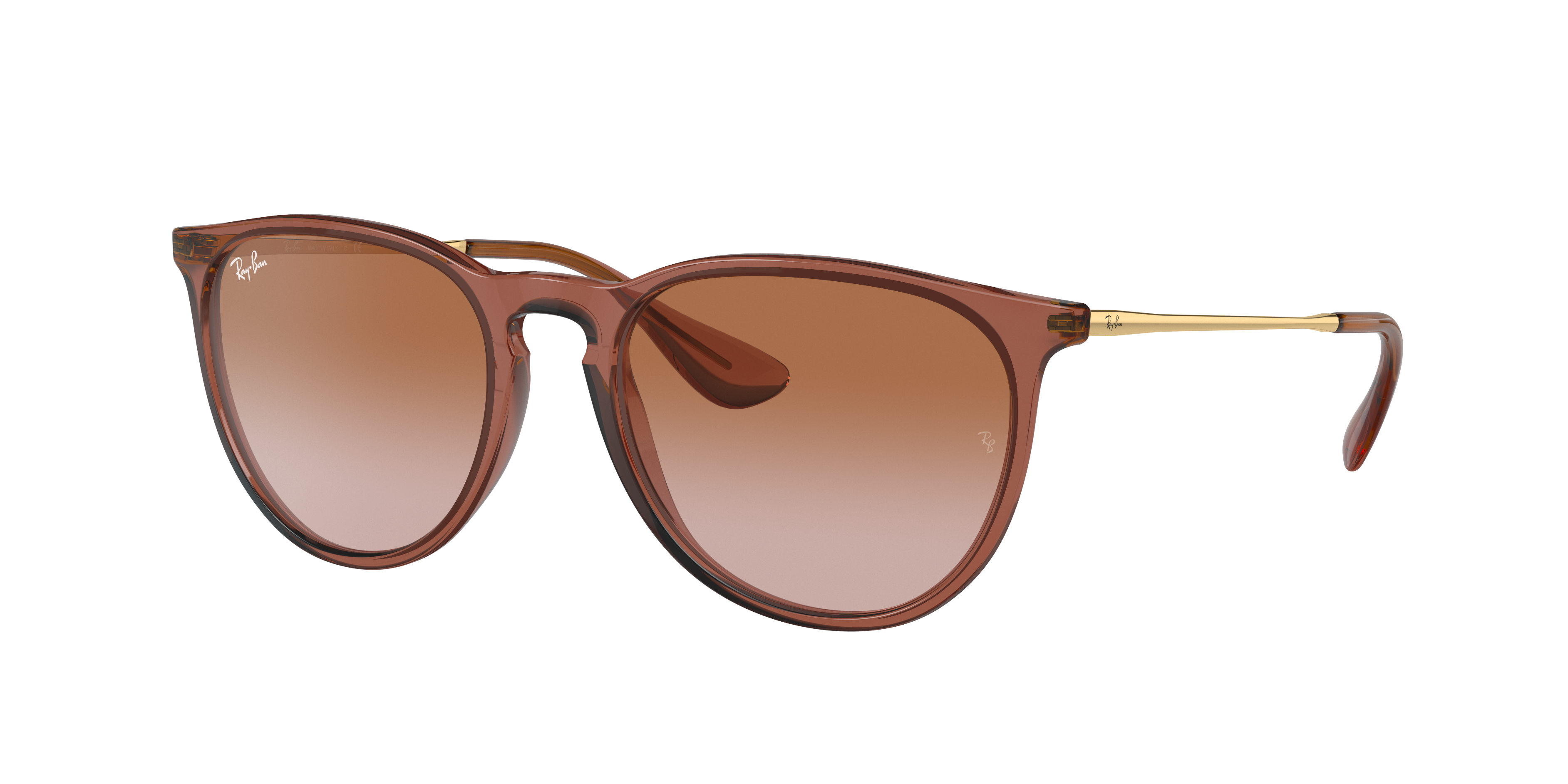 Actief Gymnast Conciërge Erika Classic Sunglasses in Transparent Light Brown and Brown | Ray-Ban®