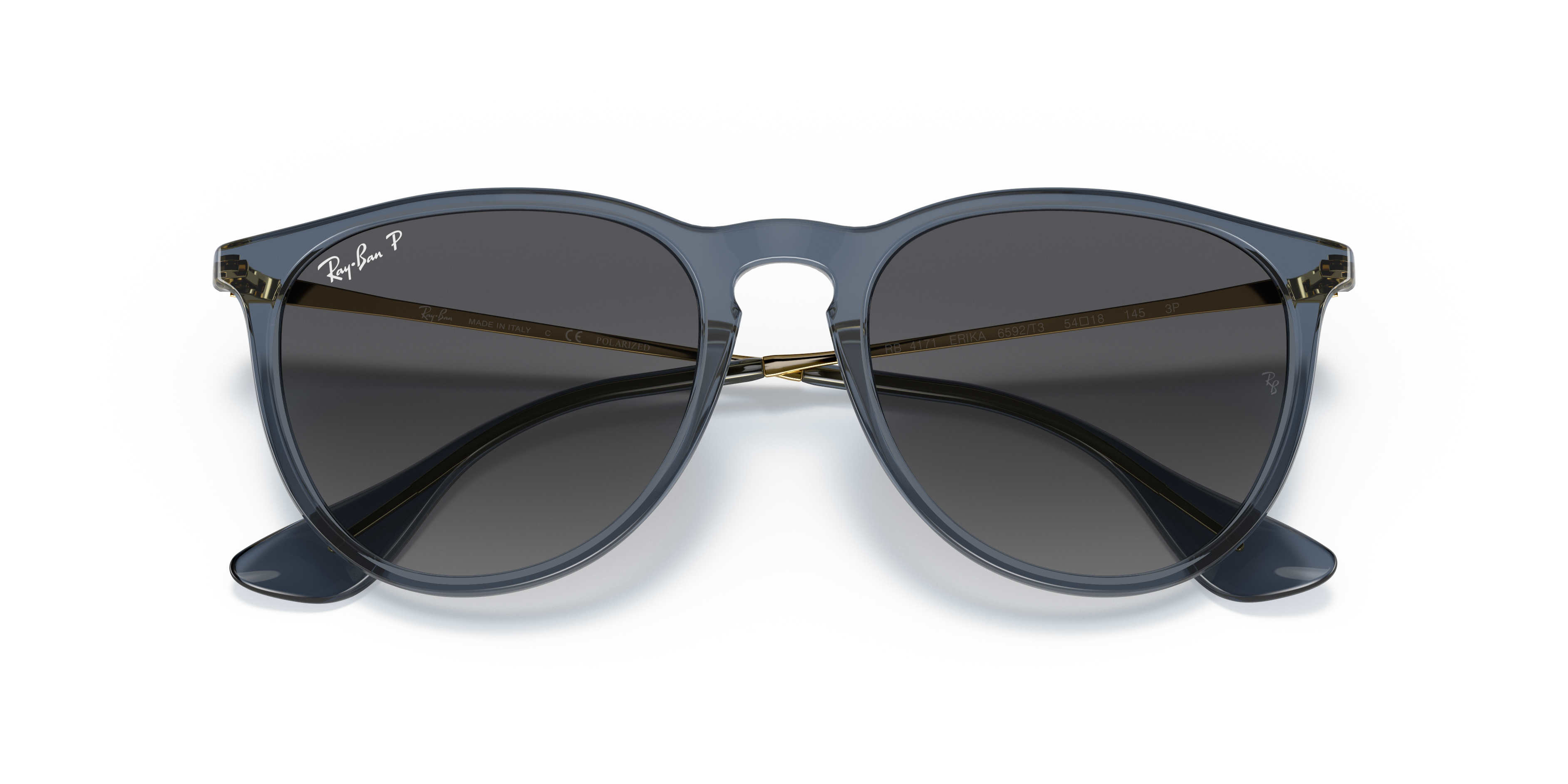 ray ban erika gunmetal