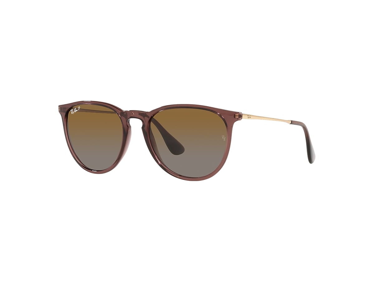 ERIKA CLASSIC Sunglasses in Transparent Dark Brown and Brown 