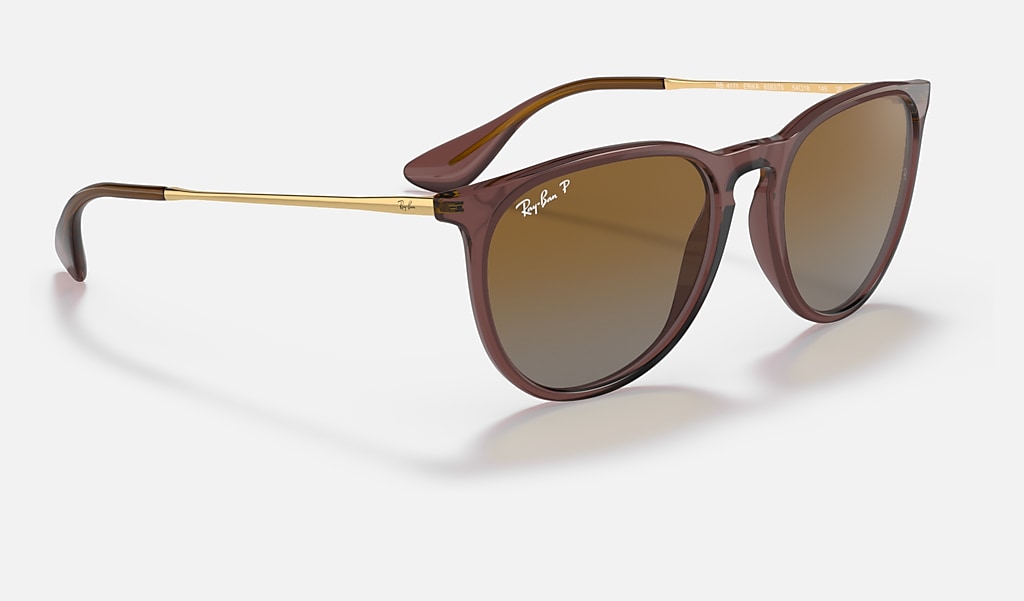 brown erika ray bans