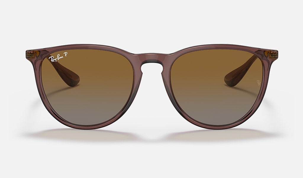 Ik geloof Eenvoud Makkelijker maken Erika Classic Sunglasses in Transparent Dark Brown and Brown | Ray-Ban®