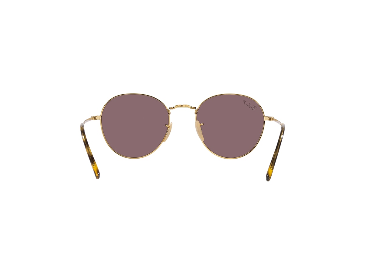 DAVID Sunglasses in Gold and Violet - RB3582 | Ray-Ban® US