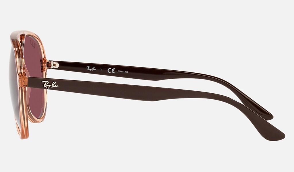 Rb4376 Sunglasses in Transparent Brown and Violet | Ray-Ban®