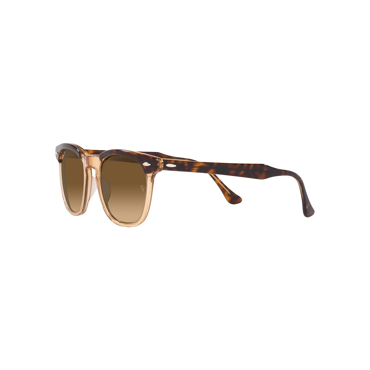 HAWKEYE Sunglasses in Havana On Transparent Brown and 