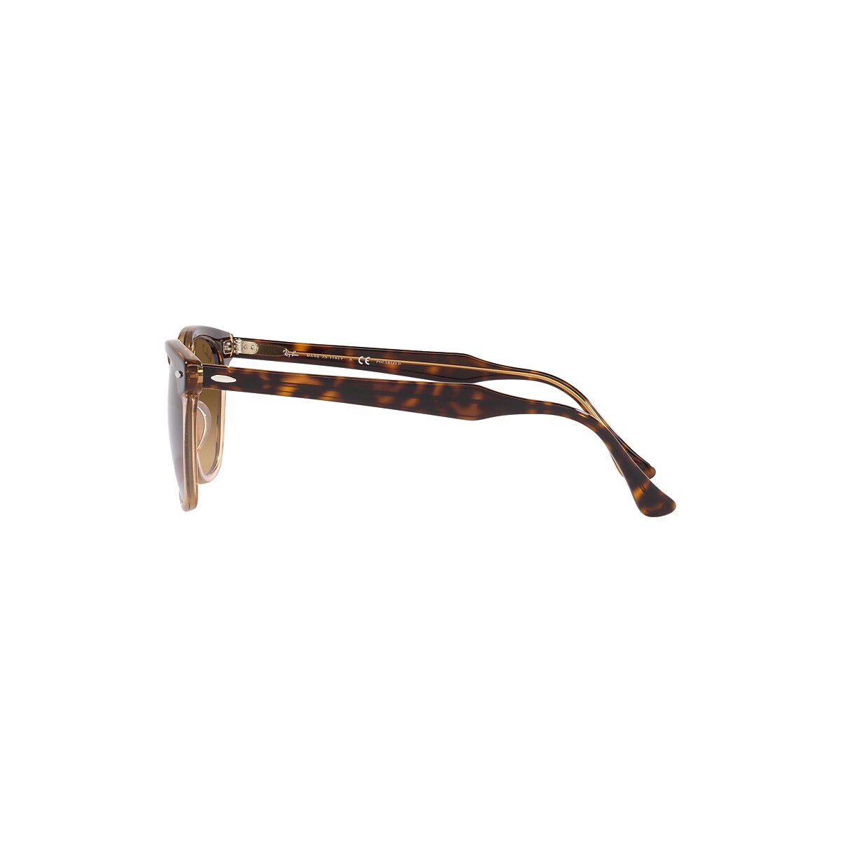 HAWKEYE Sunglasses in Havana On Transparent Brown and Brown HAWKEYE Sunglasses in Havana On Transparent Brown and Brown