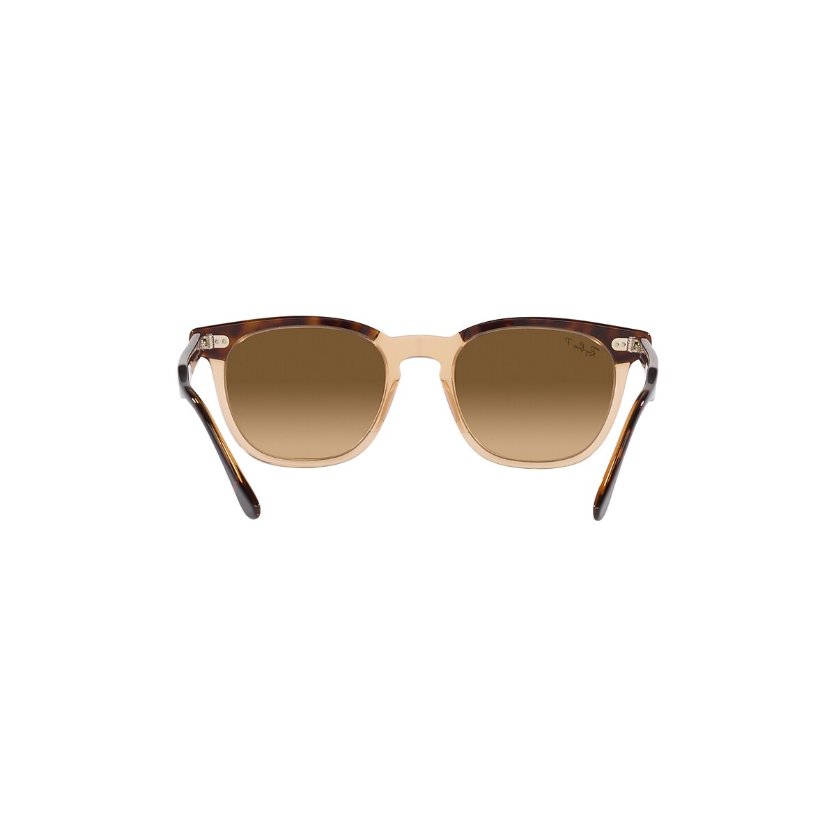 HAWKEYE Sunglasses in Havana On Transparent Brown and Brown HAWKEYE Sunglasses in Havana On Transparent Brown and Brown