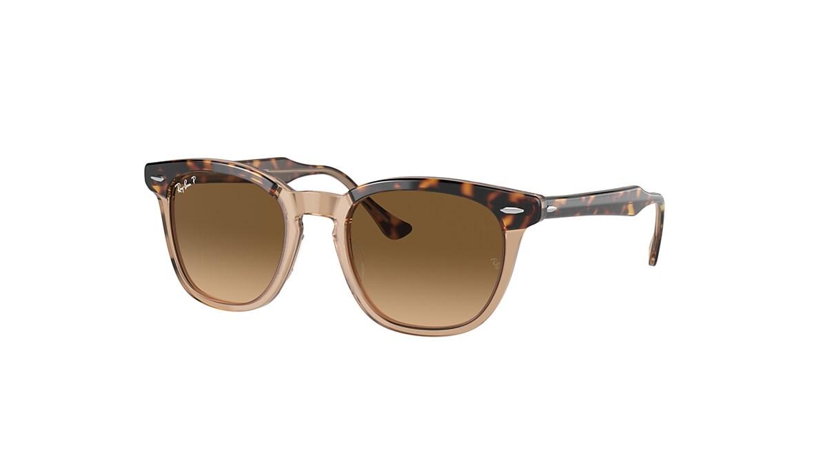 HAWKEYE Sunglasses in Havana On Transparent Brown and Brown HAWKEYE Sunglasses in Havana On Transparent Brown and Brown