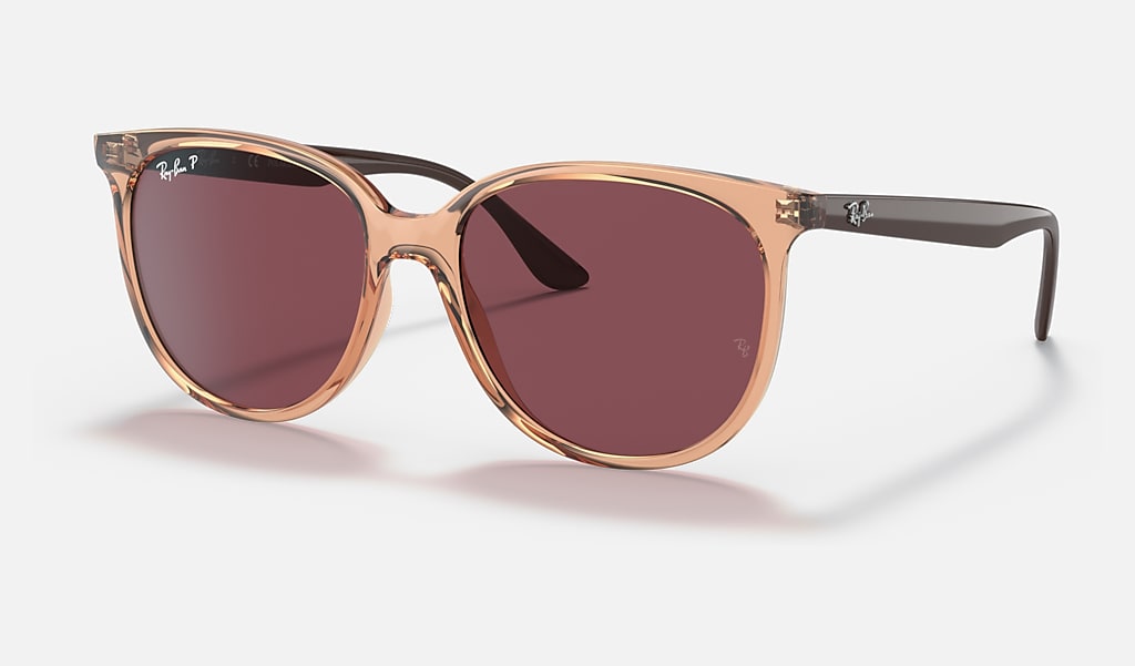 Rb4378 Sunglasses in Castanho Transparente and Violeta | Ray-Ban®