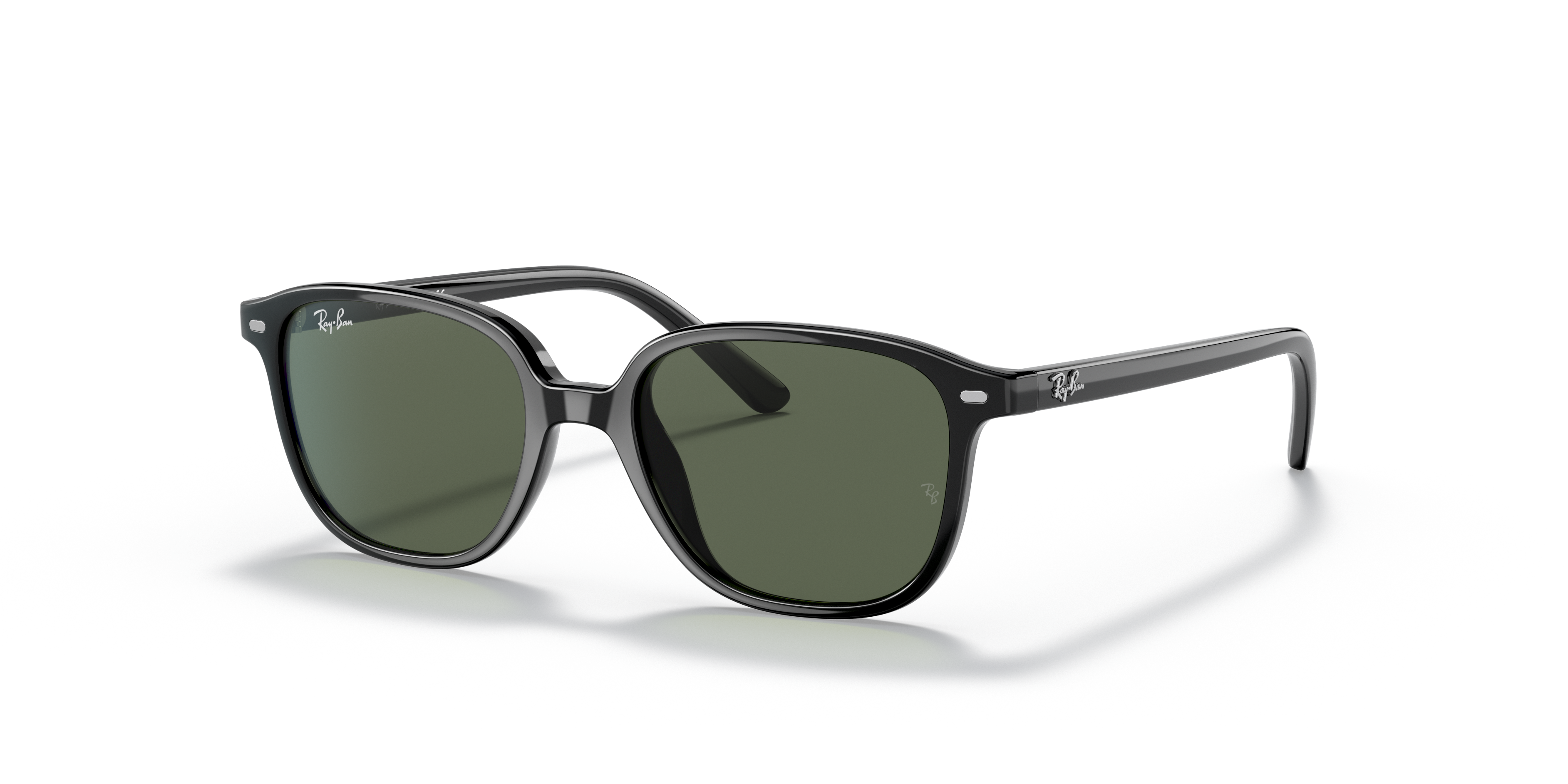 leonard ray ban sunglasses