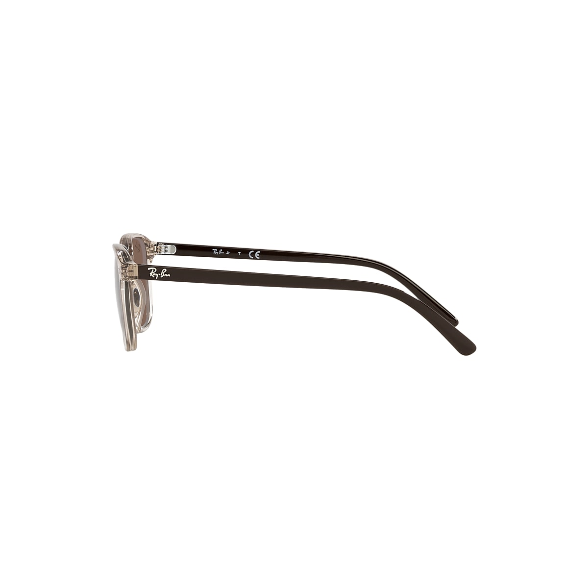 LEONARD KIDS Sunglasses in Transparent Brown and Dark Brown