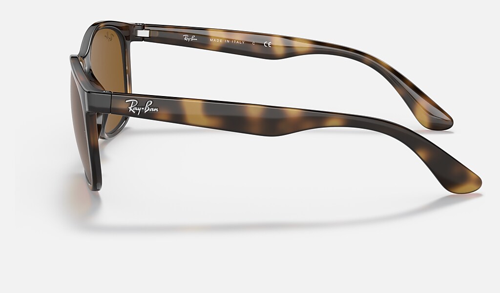 Rb4374 Sunglasses in Havana and Brown | Ray-Ban®