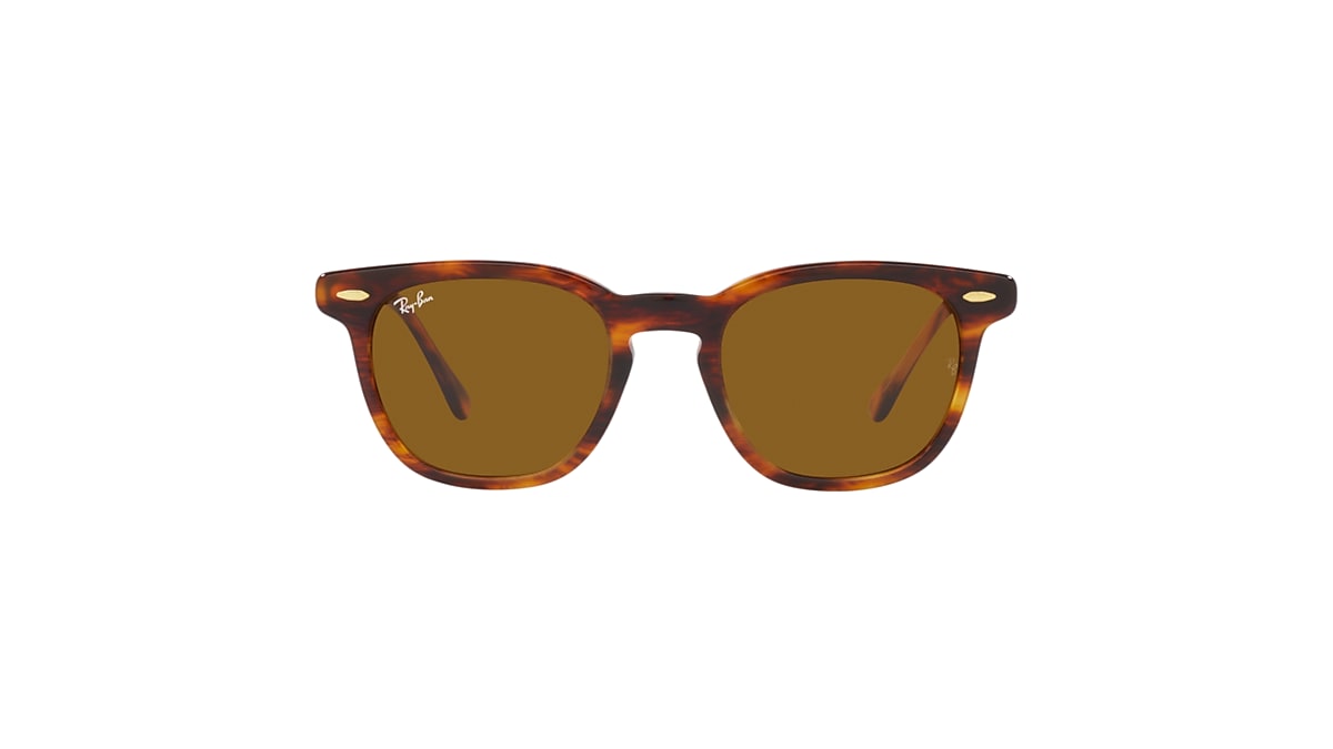 HAWKEYE Sunglasses in Transparent Blue and Brown - RB2298F